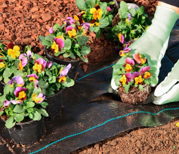 Kinekus Textília tkaná GARDENKUS 1,6x20 m, 70 g/m², čierna