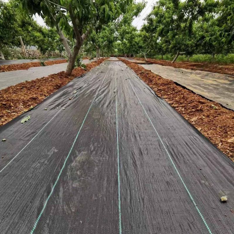 Kinekus Textília tkaná GARDENKUS 1,6x20 m, 70 g/m², čierna