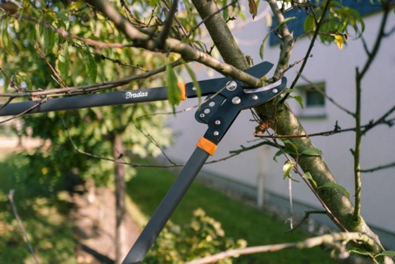 Kinekus Nožnice záhradné na konáre 81cm