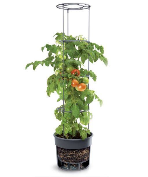Kinekus Kvetináč s oporou na paradajky ø 39,2cm, výška 153cm, plast, antracit