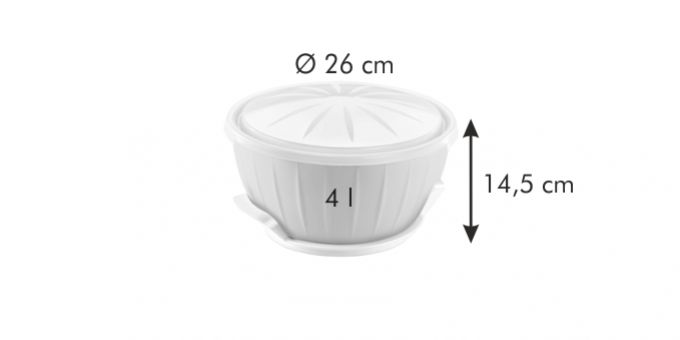 TESCOMA Misa na kysnutie s ohrievačom DELICIA 26cm