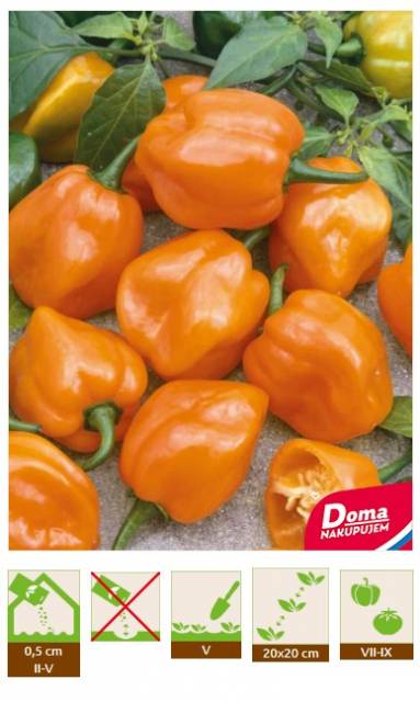 Kinekus Chilli Paprika – Habanero Orange