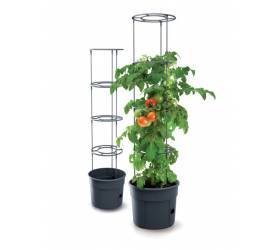 Kvetináč s oporou na paradajky ø 29,5 cm, výška 115,2 cm, plast, antracit