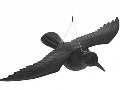 Plašič závesný, plastový, lietajúci, HAVRAN, čierny, 40x57,5cm