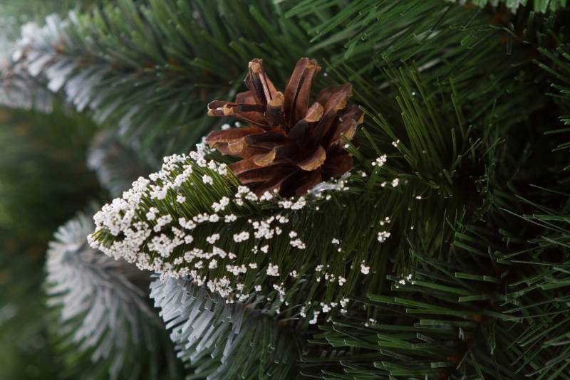 Vianočný stromček 2,2 m, diamantová borovica zasnežená