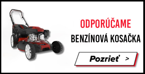 banner kosacka