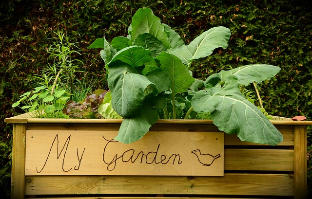 vyvýšený záhon s rôznymi druhmi zeleniny s nápisom my garden