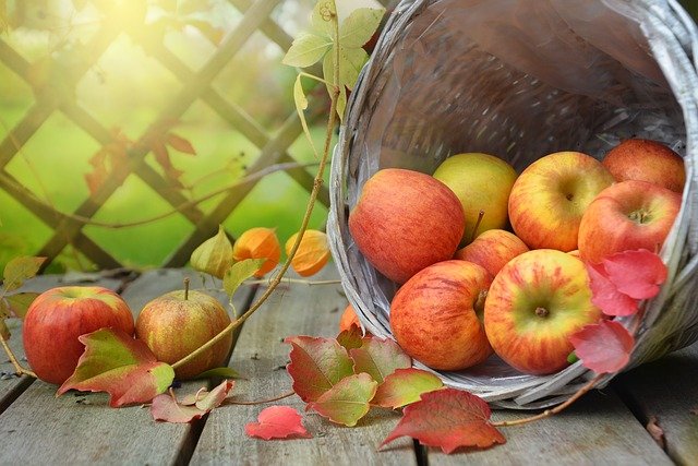 jablká a listy na jeseň