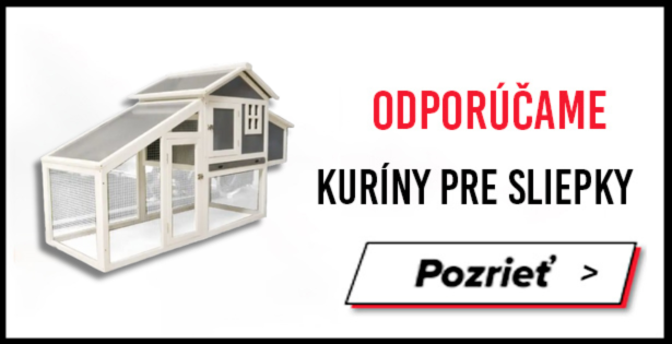baner s ponukou kurinov