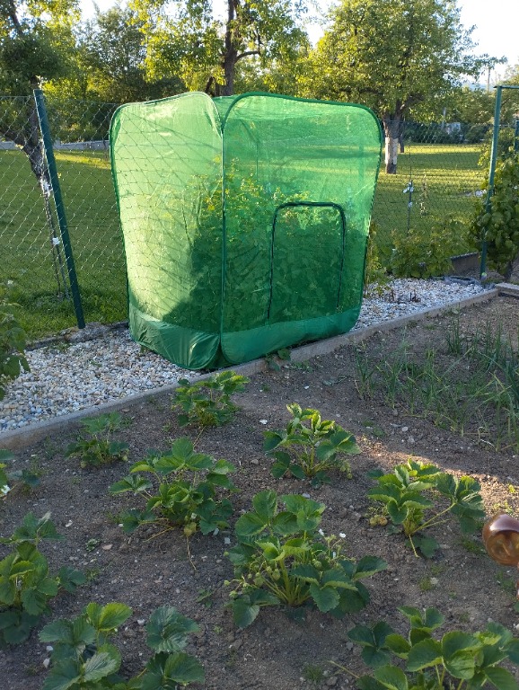 Sieť proti vtákom s konštrukciou 125x125x150cm GARDENKUS