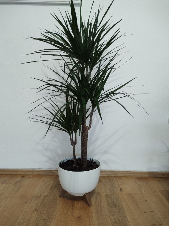 Kvetináč plastový, priemer 29cm, ROMA, biely